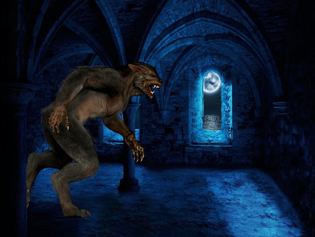 werewolf, luna, castle